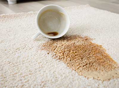 Coffee cup that has been knocked over and coffee spilled on area rug.