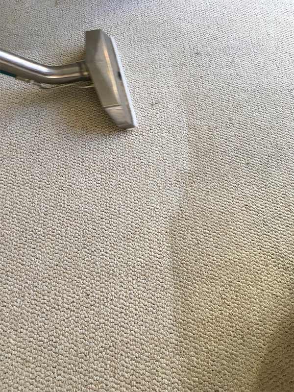 hot-water-extraction